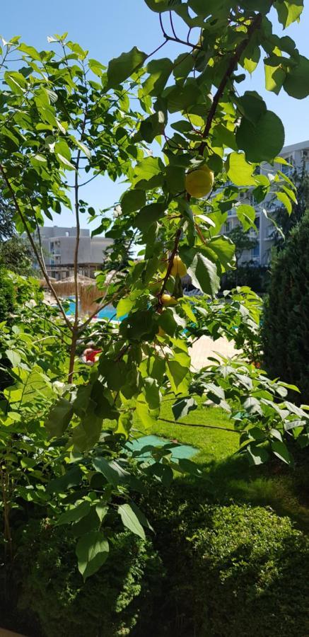 Apartment With Green Terrace Burgas Zewnętrze zdjęcie